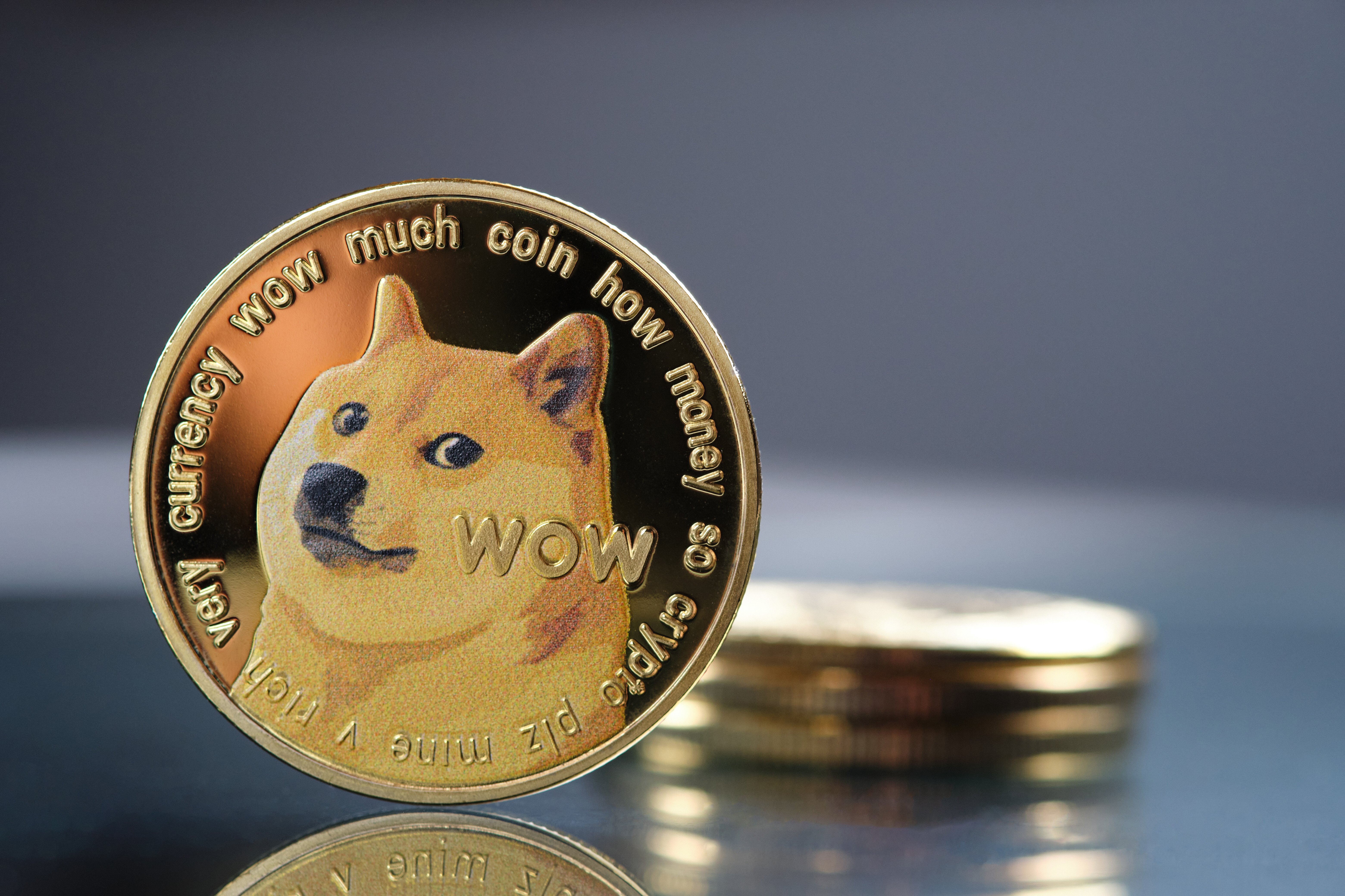 Нова валута на Altcoins.bg - DOGECOIN!